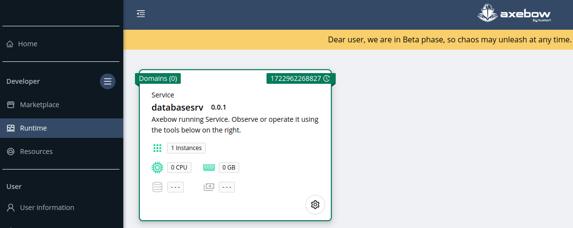 deploy service database runtime deploy 02