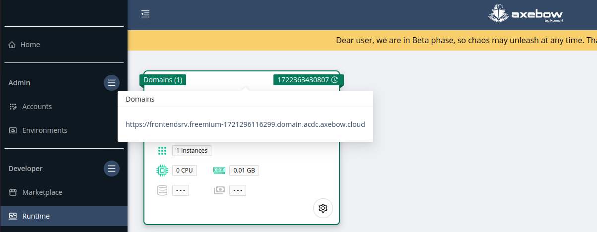 deploy service frontend runtime deploy 02